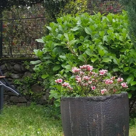 아파트 Stresa B&B
